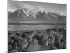 Grand Teton, National Park Wyoming, Geology, Geological 1933-1942-Ansel Adams-Mounted Art Print