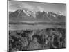 Grand Teton, National Park Wyoming, Geology, Geological 1933-1942-Ansel Adams-Mounted Art Print