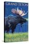 Grand Teton National Park, Wyoming, Moose in the Moonlight-Lantern Press-Stretched Canvas