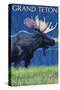 Grand Teton National Park, Wyoming, Moose in the Moonlight-Lantern Press-Stretched Canvas