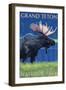 Grand Teton National Park, Wyoming, Moose in the Moonlight-Lantern Press-Framed Art Print