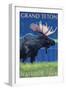 Grand Teton National Park, Wyoming, Moose in the Moonlight-Lantern Press-Framed Art Print