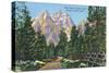 Grand Teton National Park, Wyoming, Road to Jenny Lake View of the Grand Tetons-Lantern Press-Stretched Canvas