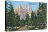 Grand Teton National Park, Wyoming, Road to Jenny Lake View of the Grand Tetons-Lantern Press-Stretched Canvas