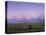 Grand Teton National Park, Wyoming, USA-R Mcleod-Stretched Canvas