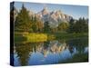 Grand Teton National Park, Wyoming, USA-Charles Gurche-Stretched Canvas