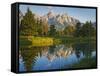 Grand Teton National Park, Wyoming, USA-Charles Gurche-Framed Stretched Canvas