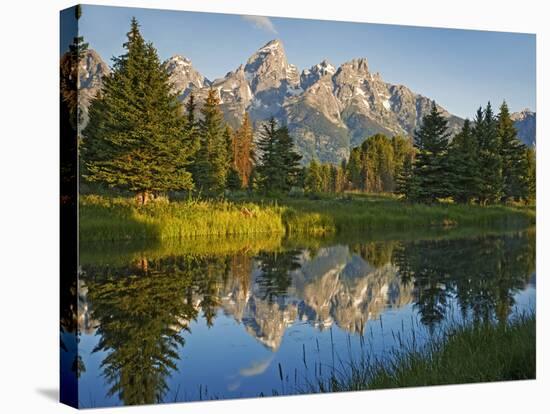 Grand Teton National Park, Wyoming, USA-Charles Gurche-Stretched Canvas