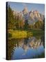 Grand Teton National Park, Wyoming, USA-Charles Gurche-Stretched Canvas