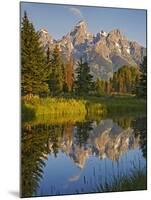 Grand Teton National Park, Wyoming, USA-Charles Gurche-Mounted Premium Photographic Print