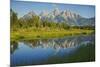 Grand Teton National Park, Wyoming, USA-Charles Gurche-Mounted Photographic Print