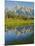 Grand Teton National Park, Wyoming, USA-Charles Gurche-Mounted Photographic Print