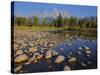 Grand Teton National Park, Wyoming, USA-Charles Gurche-Stretched Canvas