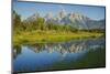 Grand Teton National Park, Wyoming, USA-Charles Gurche-Mounted Photographic Print