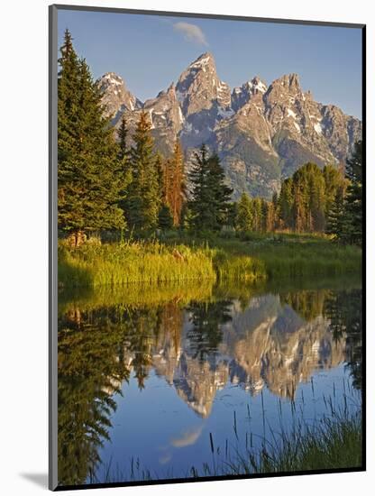 Grand Teton National Park, Wyoming, USA-Charles Gurche-Mounted Photographic Print