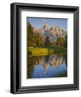 Grand Teton National Park, Wyoming, USA-Charles Gurche-Framed Photographic Print