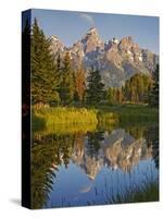 Grand Teton National Park, Wyoming, USA-Charles Gurche-Stretched Canvas