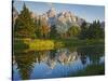 Grand Teton National Park, Wyoming, USA-Charles Gurche-Stretched Canvas