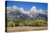 Grand Teton National Park, Wyoming-Carol Highsmith-Stretched Canvas