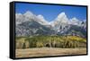 Grand Teton National Park, Wyoming-Carol Highsmith-Framed Stretched Canvas