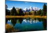 Grand Teton National Park XI-Ike Leahy-Mounted Photographic Print