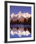 Grand Teton National Park XIII-Ike Leahy-Framed Photographic Print