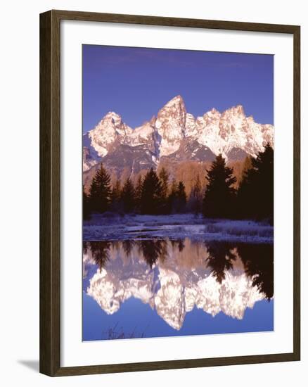 Grand Teton National Park XIII-Ike Leahy-Framed Photographic Print