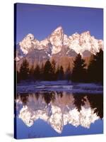 Grand Teton National Park XIII-Ike Leahy-Stretched Canvas
