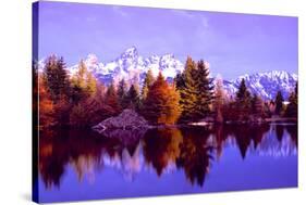 Grand Teton National Park XIV-Ike Leahy-Stretched Canvas