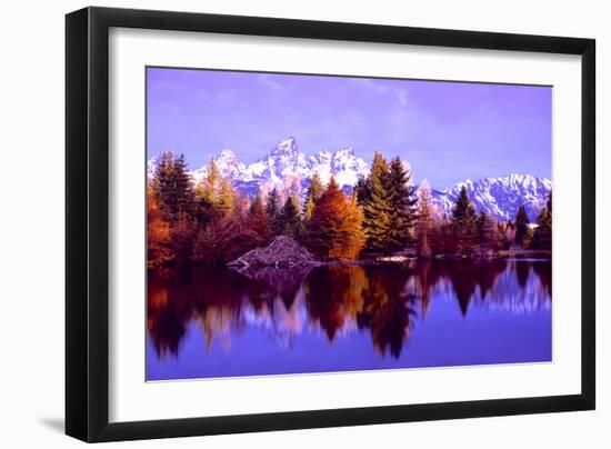 Grand Teton National Park XIV-Ike Leahy-Framed Photographic Print