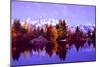 Grand Teton National Park XIV-Ike Leahy-Mounted Photographic Print