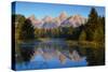 Grand Teton National Park XV-Ike Leahy-Stretched Canvas