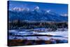 Grand Teton National Park XVI-Ike Leahy-Stretched Canvas