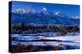 Grand Teton National Park XVI-Ike Leahy-Stretched Canvas