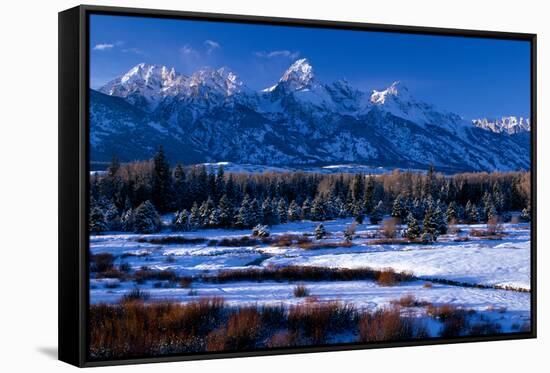 Grand Teton National Park XVI-Ike Leahy-Framed Stretched Canvas