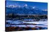 Grand Teton National Park XVI-Ike Leahy-Stretched Canvas