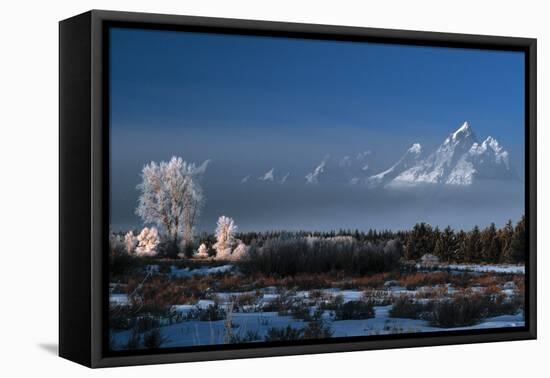 Grand Teton National Park XVII-Ike Leahy-Framed Stretched Canvas