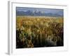 Grand Teton National Park-Scott T. Smith-Framed Photographic Print