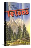 Grand Teton National Park-null-Stretched Canvas