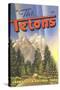 Grand Teton National Park-null-Stretched Canvas