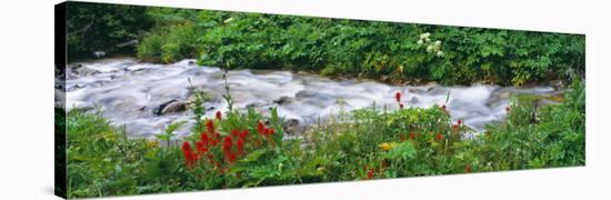 Grand Teton Park, Wyoming, USA-null-Stretched Canvas