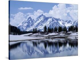 Grand Teton Reflected in Lake-Chris Rogers-Stretched Canvas