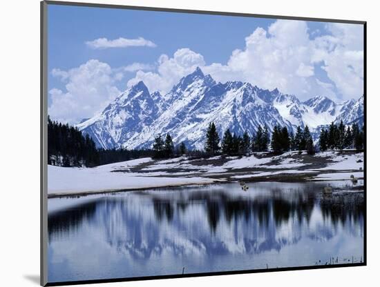 Grand Teton Reflected in Lake-Chris Rogers-Mounted Photographic Print