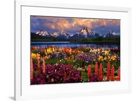 Grand Teton-null-Framed Poster