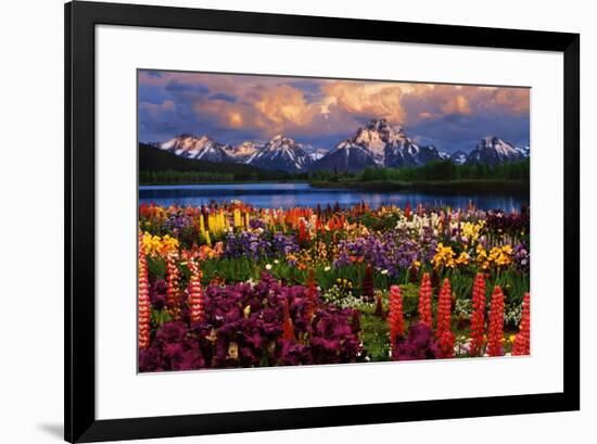 Grand Teton-null-Framed Poster