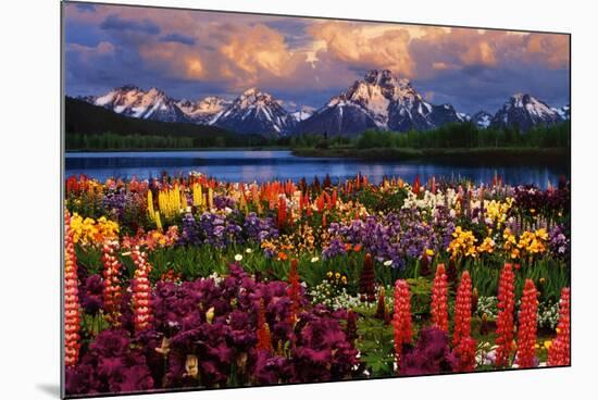 Grand Teton-null-Mounted Poster