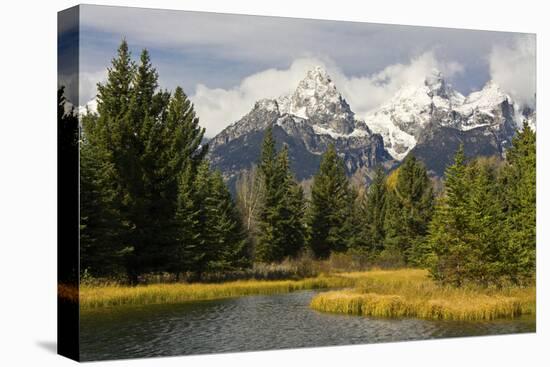 Grand Tetons, from Schwabachers Landing, Grand Teton National Park, Wyoming, USA-Michel Hersen-Stretched Canvas