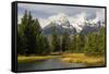 Grand Tetons, from Schwabachers Landing, Grand Teton National Park, Wyoming, USA-Michel Hersen-Framed Stretched Canvas