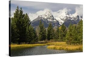 Grand Tetons, from Schwabachers Landing, Grand Teton National Park, Wyoming, USA-Michel Hersen-Stretched Canvas