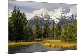 Grand Tetons, from Schwabachers Landing, Grand Teton National Park, Wyoming, USA-Michel Hersen-Mounted Photographic Print